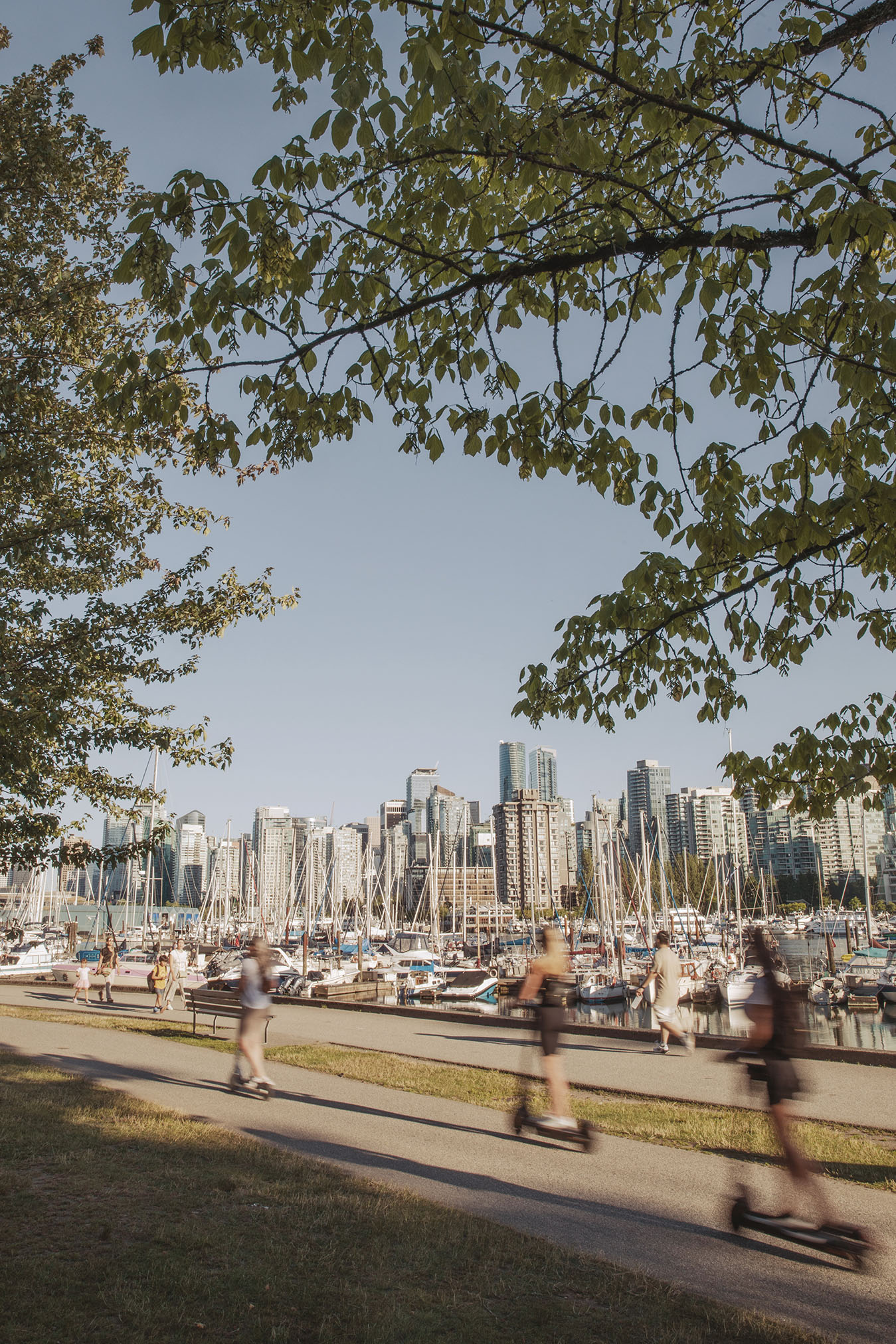 Vancouver Seawall | Vancouver Real Estate Developer | Peterson